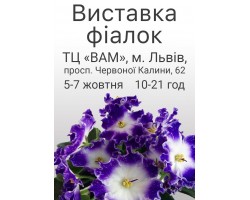 Выставка фиалок во Львове 5-7 октября 2018